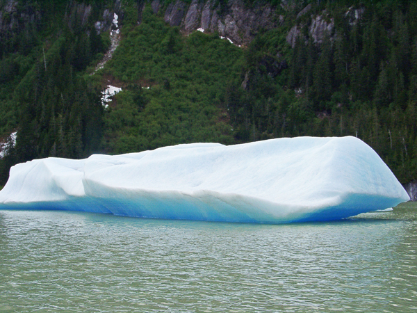 Iceberg on the Stikine River